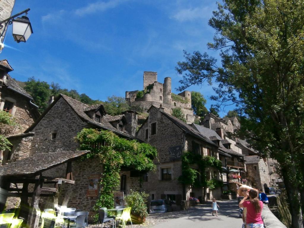 Domaine De Lasfonds Rieupeyroux  Camera foto